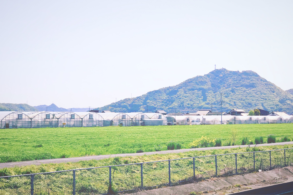 田園風景の中のハウスの写真